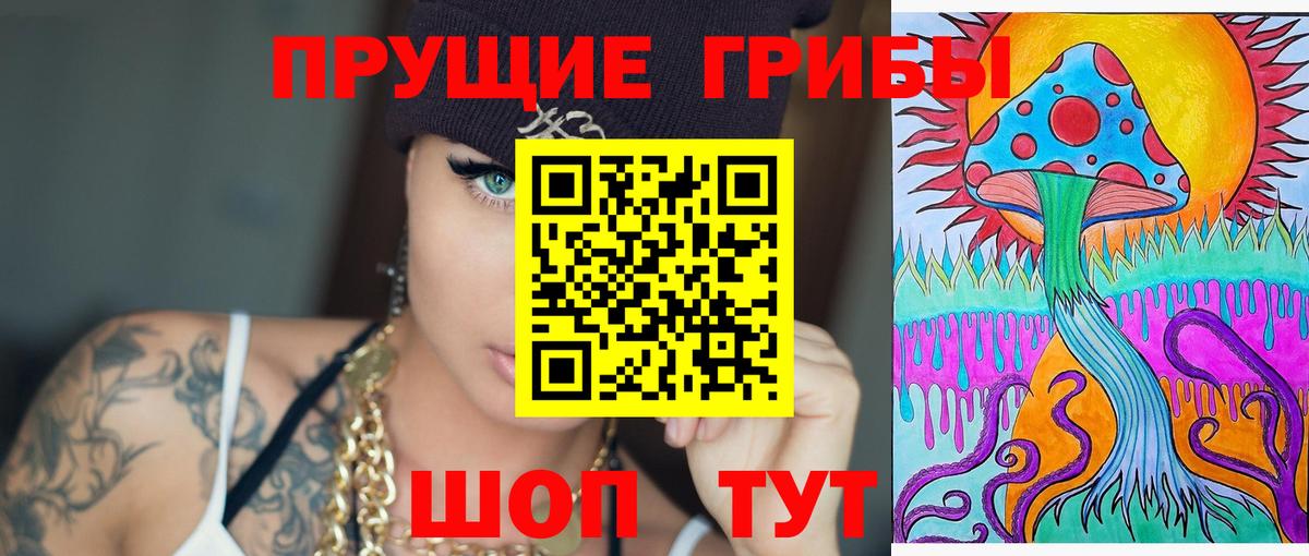 Галлюциногенные грибы прущие грибы  Вход с VPN  Черняховск 