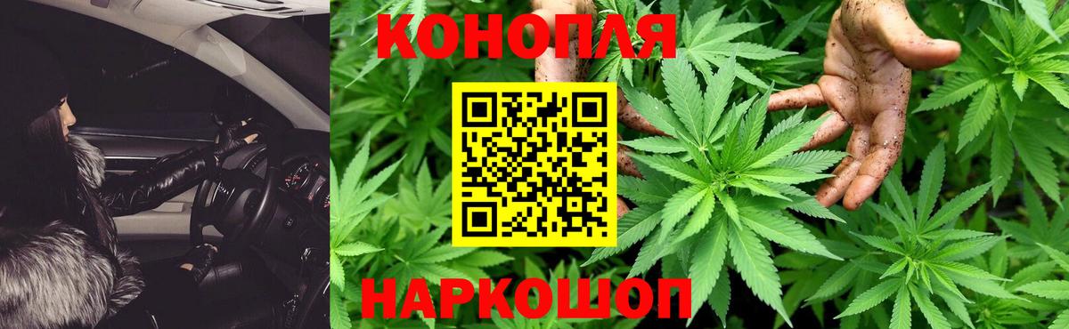 Конопля THC 21%  Марихуана сатива  Черняховск  Вход с VPN  Бошки марихуана марихуана 